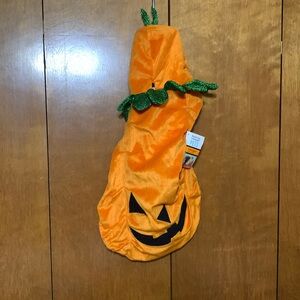MARTHA STEWART- Large Pumpkin 🎃 Dog Costume